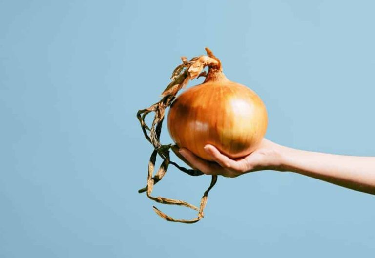 큰 양파를 한 손으로 들고 있는 사람