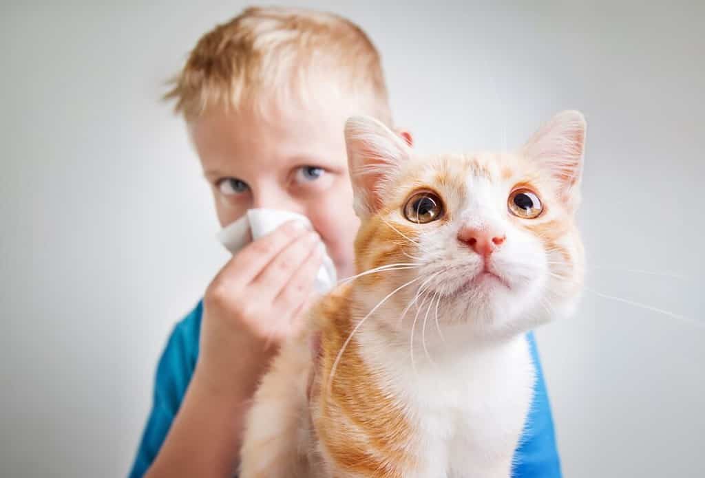 반려동물 알레르기를 앓고 있는 어린아이