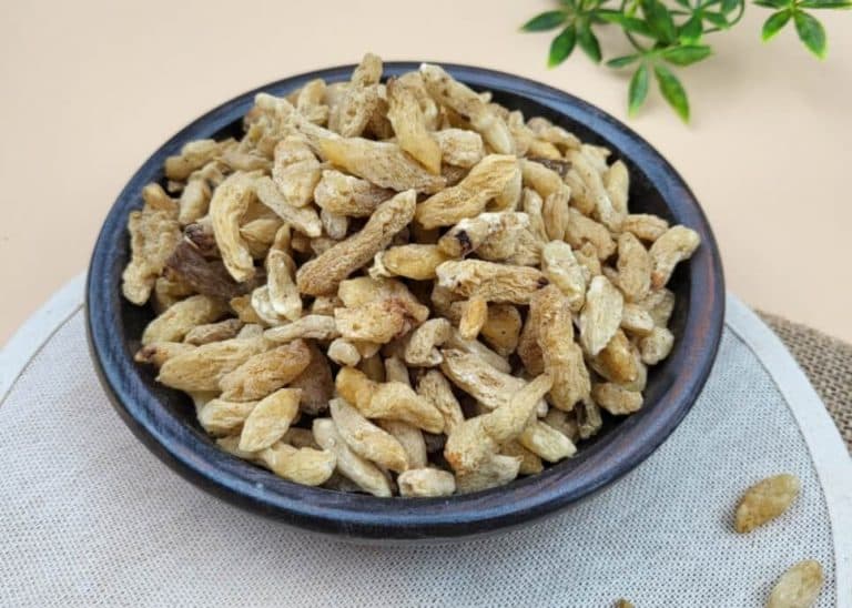 접시에 담긴 맥문동