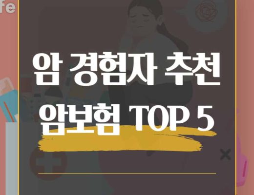 암보험-상품