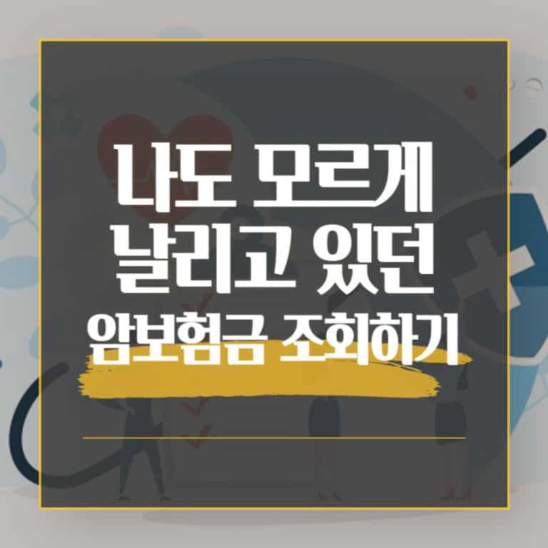 암보험금 조회